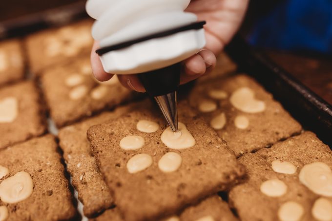 my dogs bakery | branding