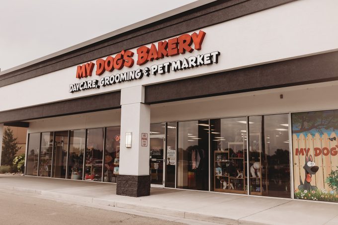 my dogs bakery | branding